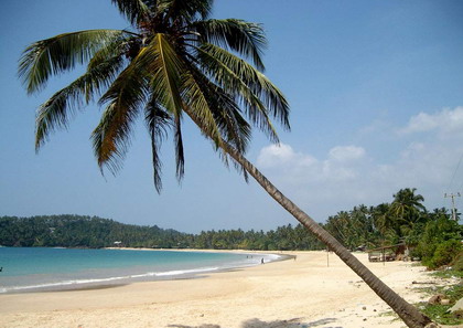 Шри Ланка туры отдых пляжи на Шри Ланке 